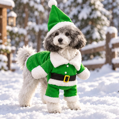 Pawstumes™ Pet Costume